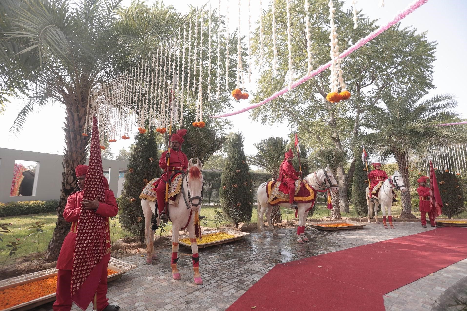 Anand and Richa’s Wedding