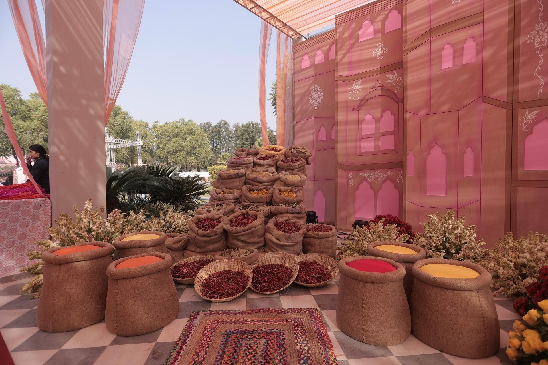 Anand and Richa’s Wedding