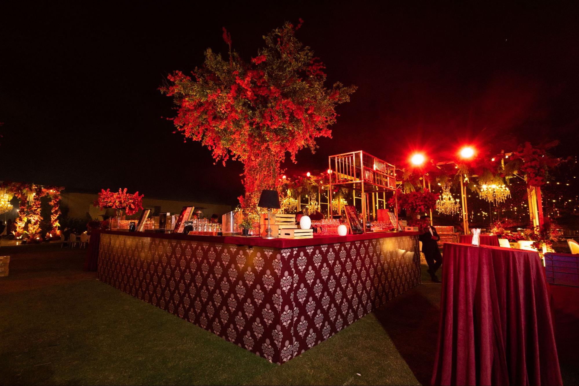 Rimi and Kapil's Wedding